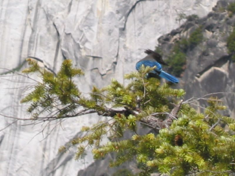 Anke Jan Yosemite June 14 2003 023